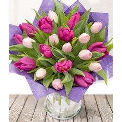 Simply Tulips