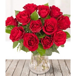Red Roses