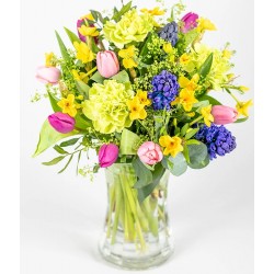 Cheerful