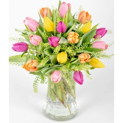 Tulip Medley