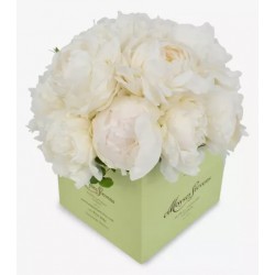White Double peonies bouquet